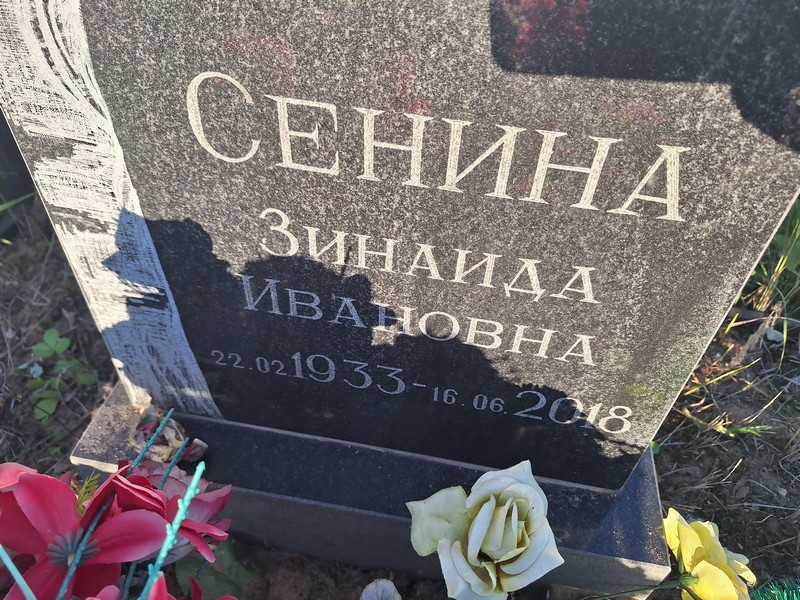 Сенина