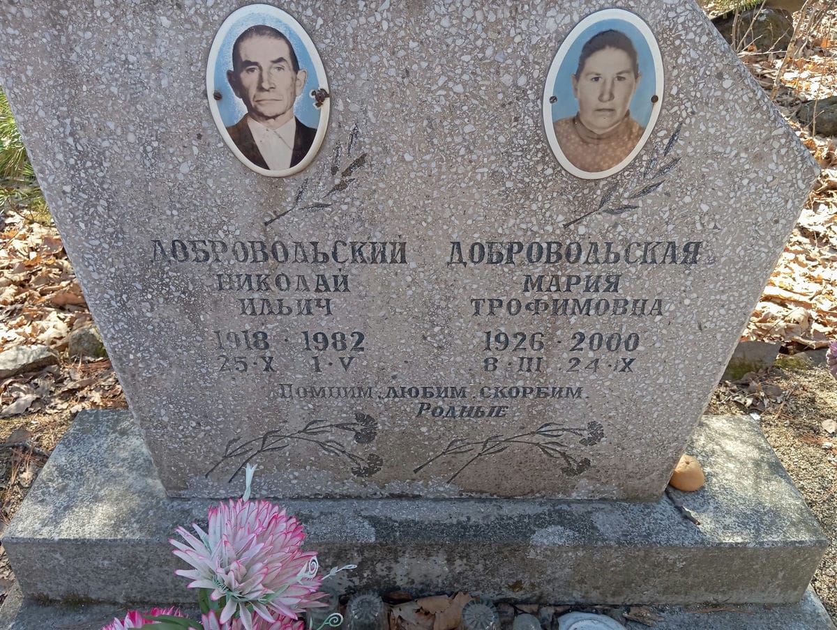 Добровольский Николай Ильич