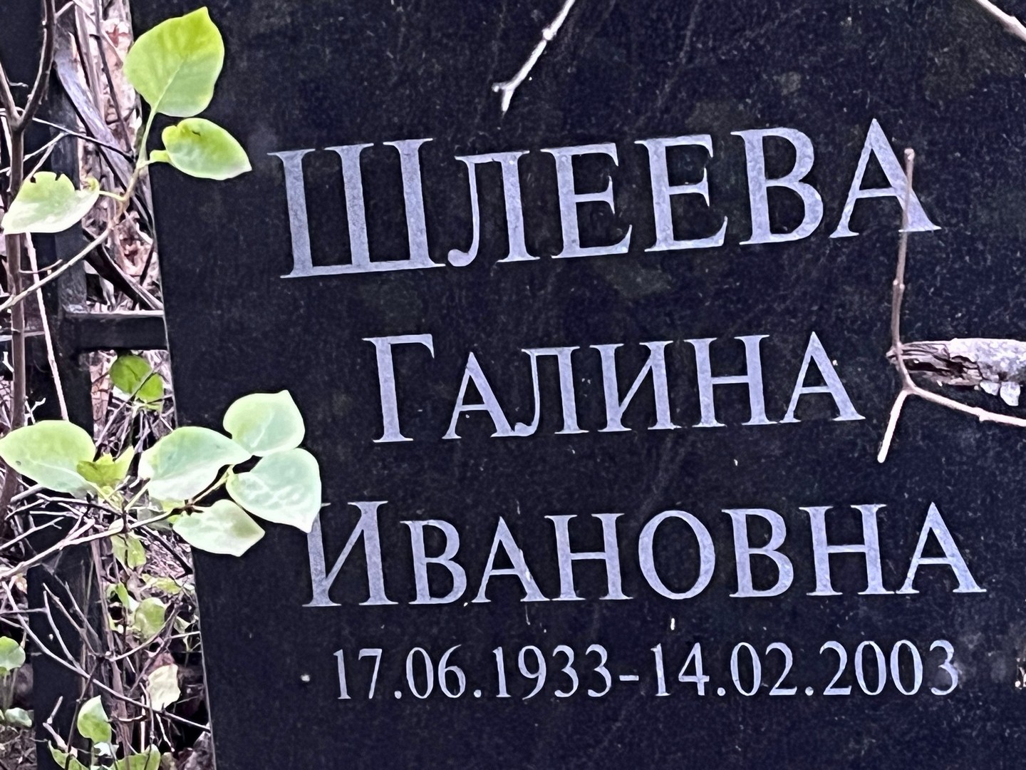 Шлеева