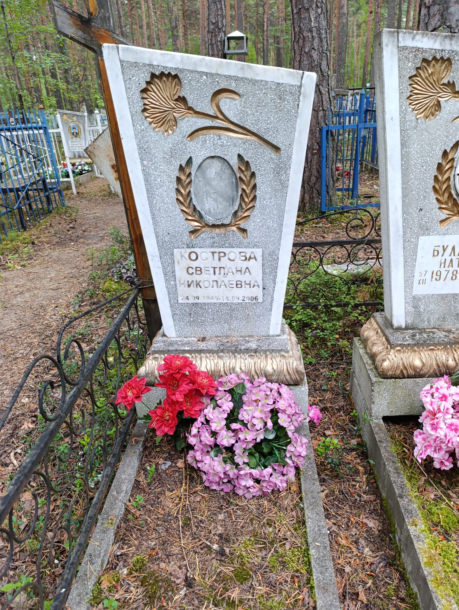 Кострова Светлана Николаевна