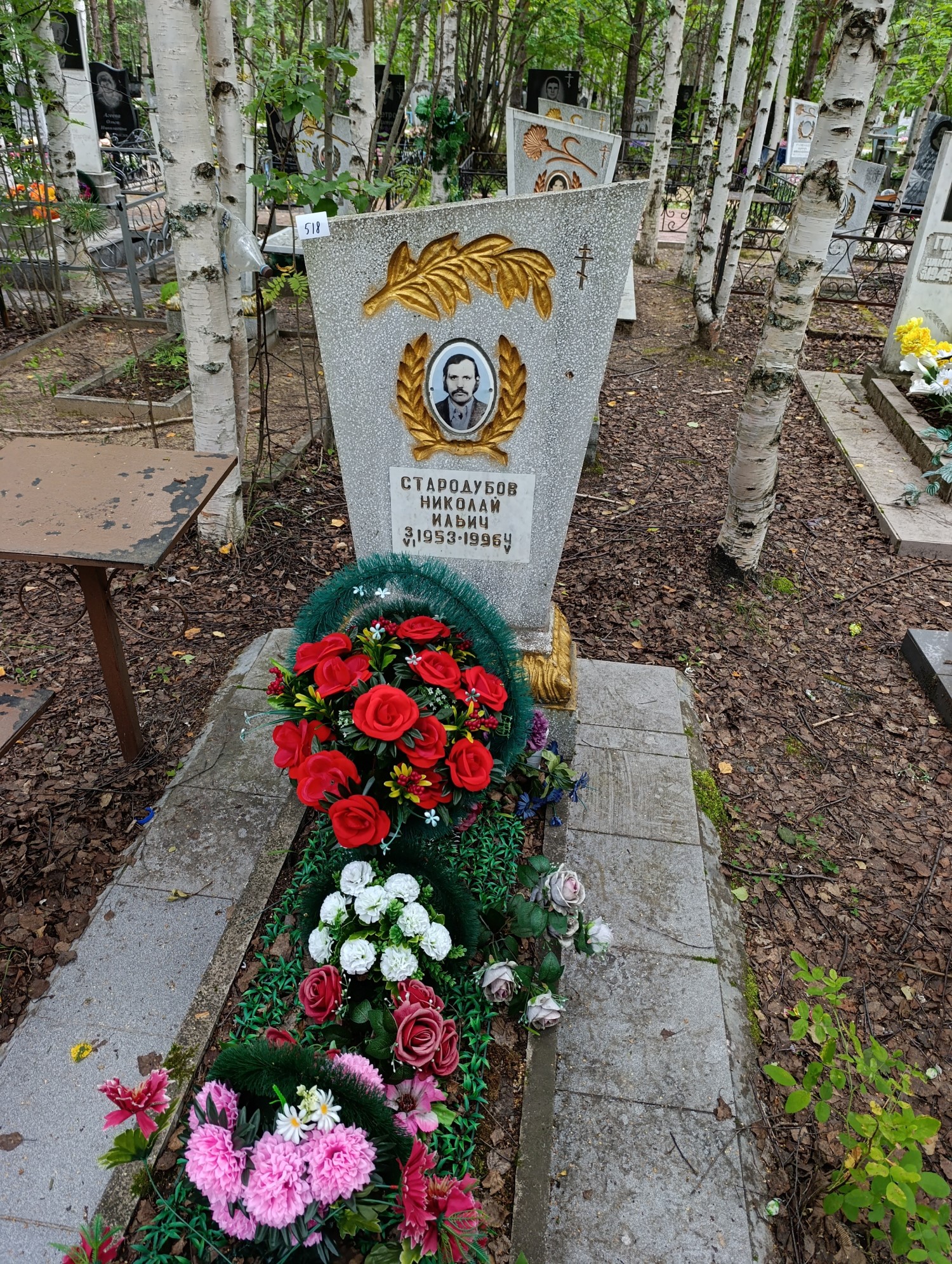 Стародубов Николай Ильич