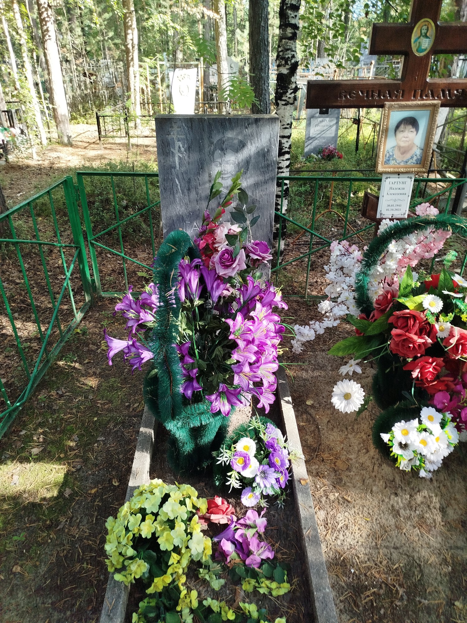 Гартунг Владимир Вольдемарович
