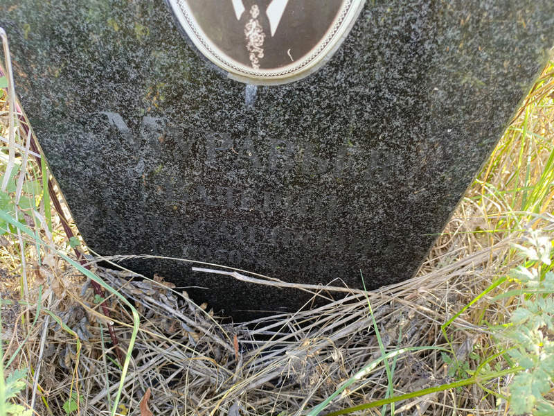 Муравьев