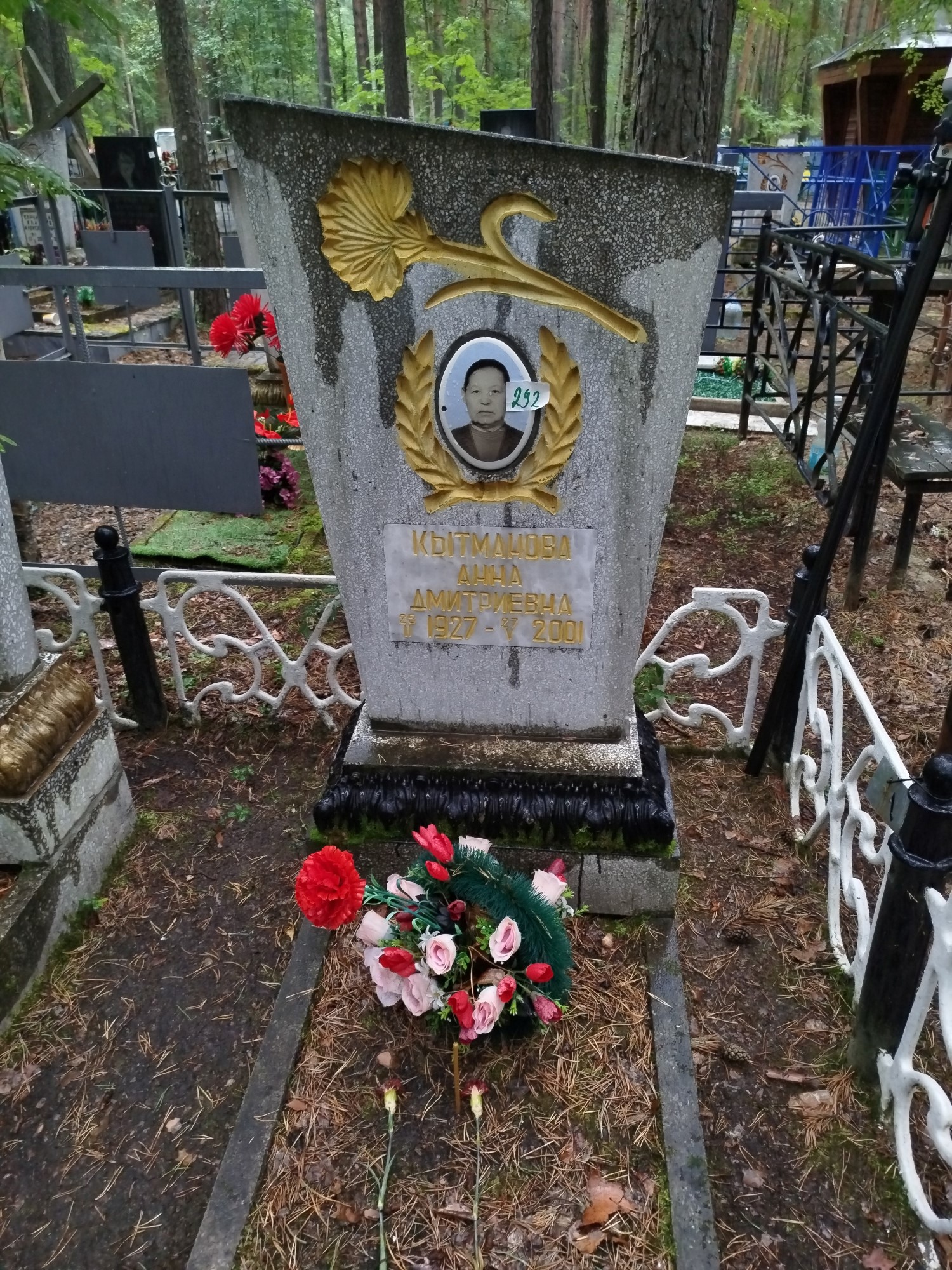 Кытманова Анна Дмитриевна