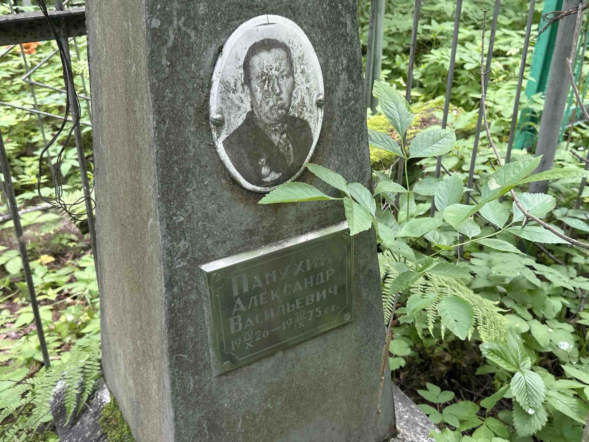 Памухин Александр Васильевич