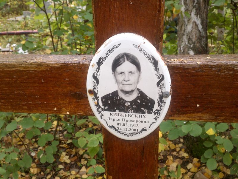 Кряжевских