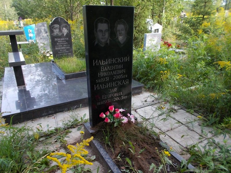 Ильинский Валентин Николаевич