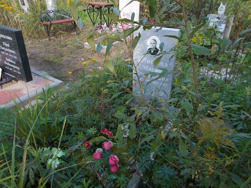 Елисеева Мария Степановна