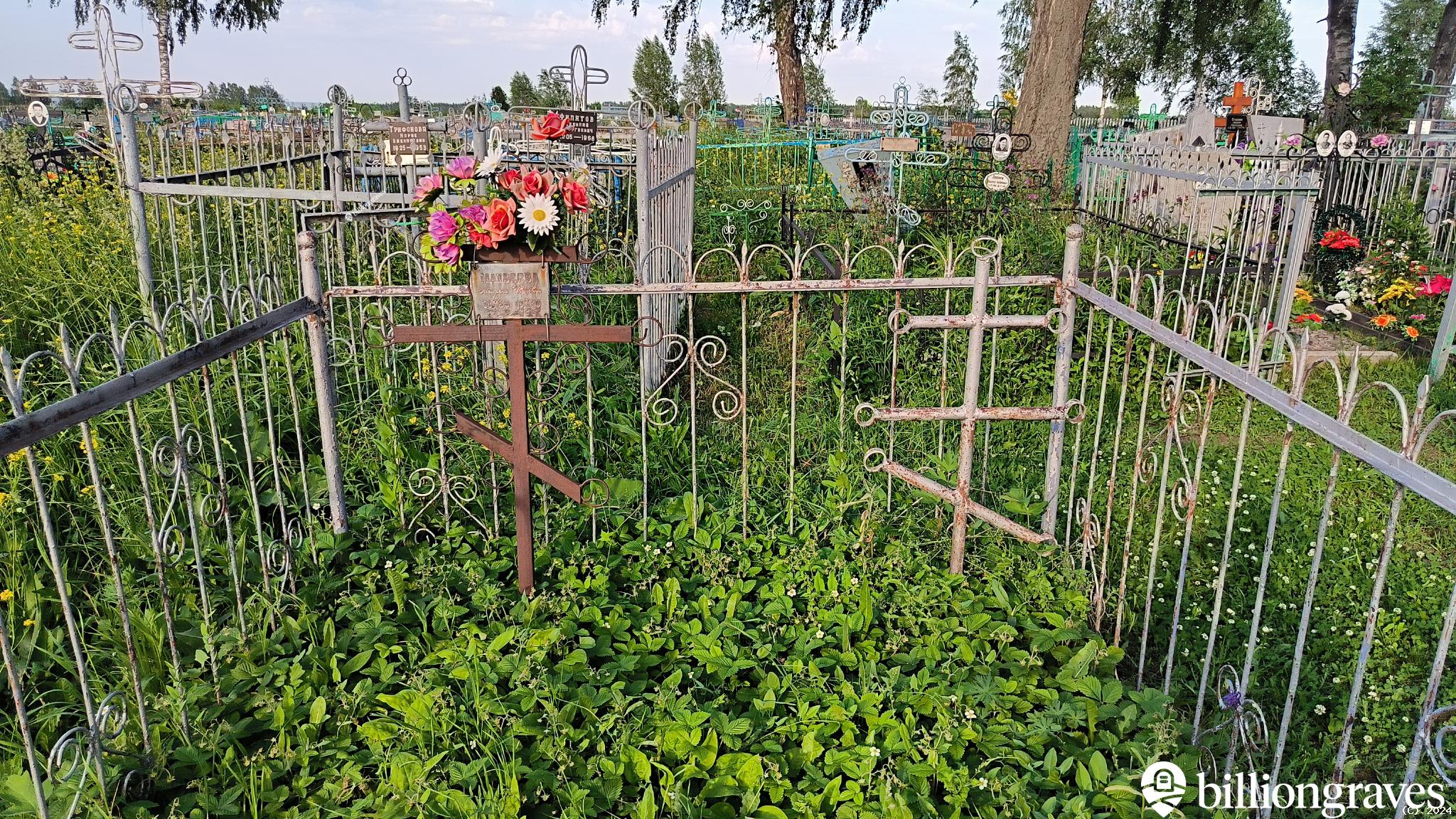 Матвеева Матрена Ивановна