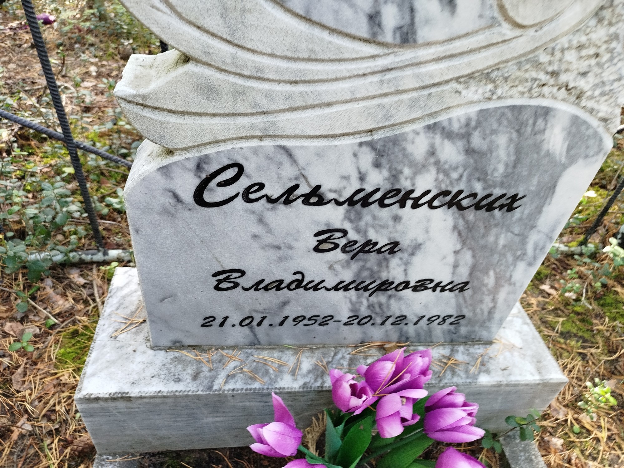 Сельменских Вера Владимировна