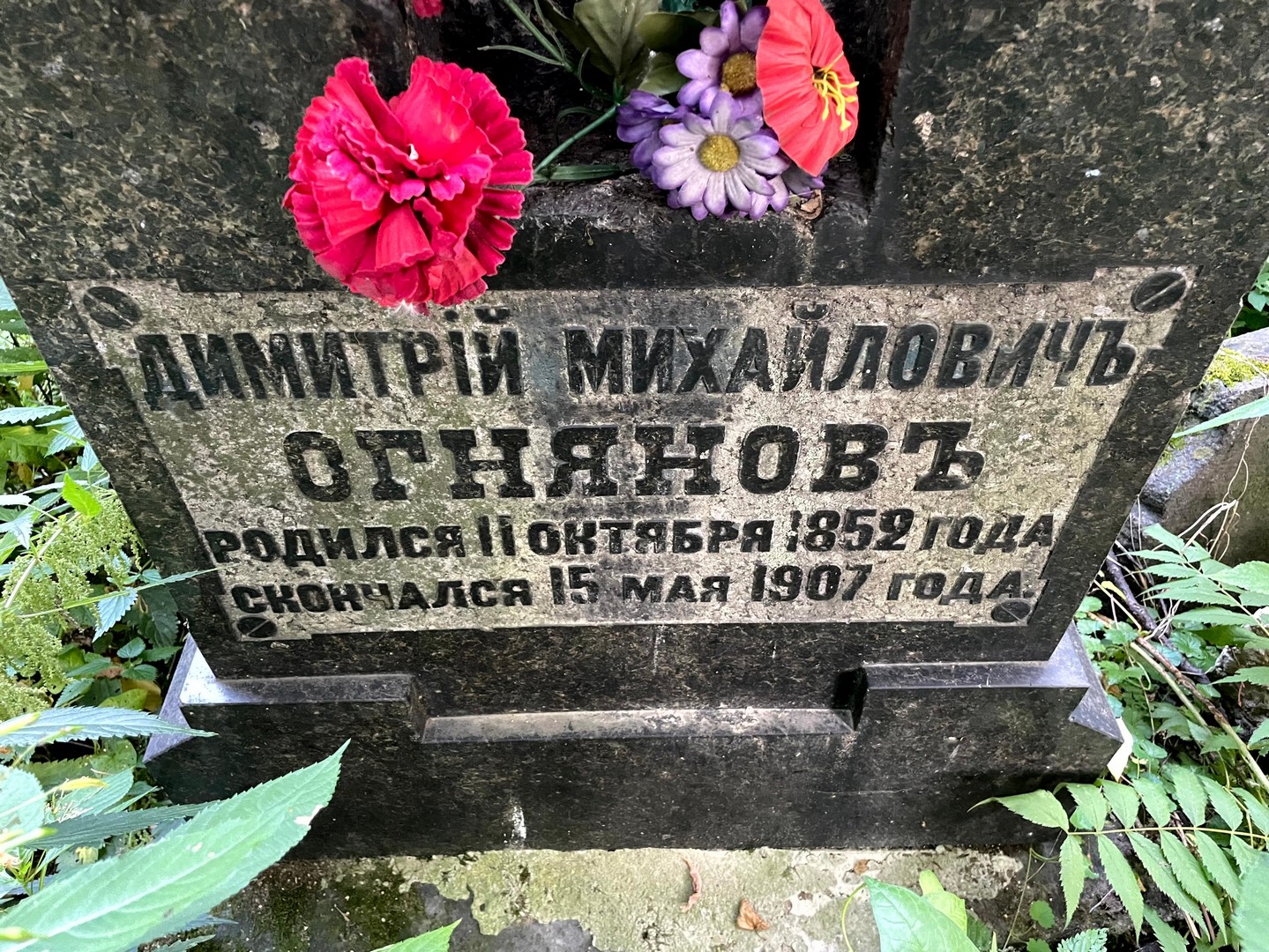 Димитрий Огнянов Михайлович