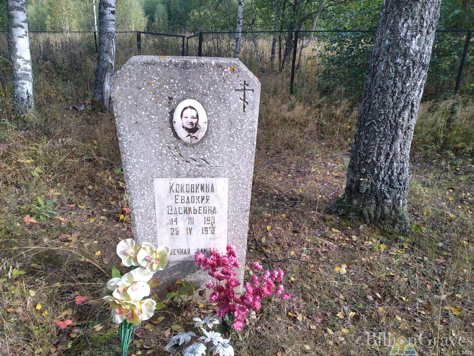 Коковкина Евдокия Васильевна