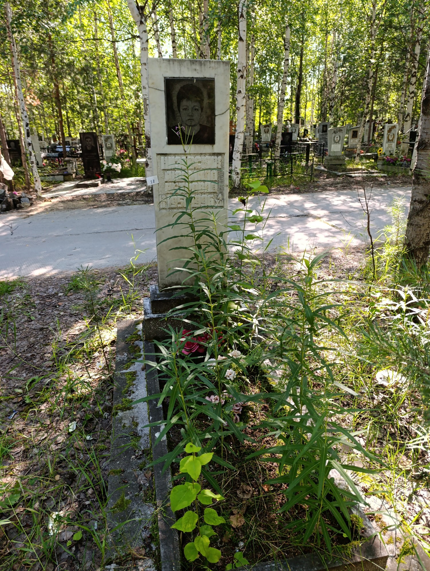 Низовских Людмила Петровна