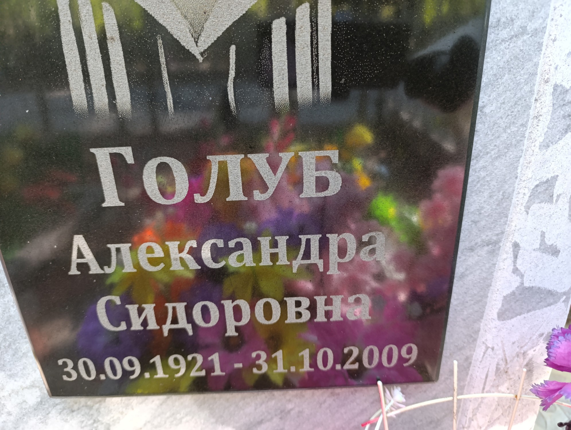 Голуб Александра Сидоровна