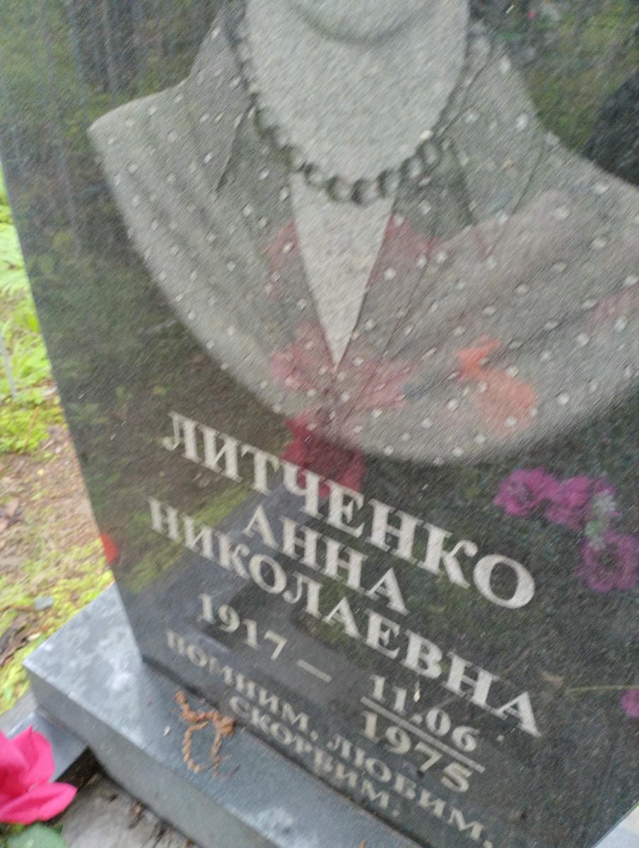 Литченко Анна Николаевна