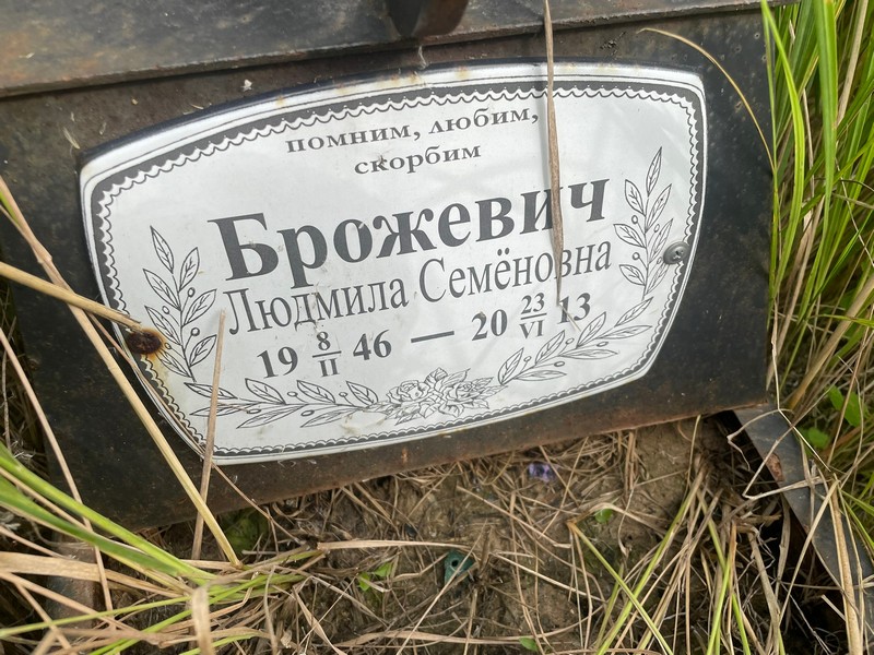 Брожевич