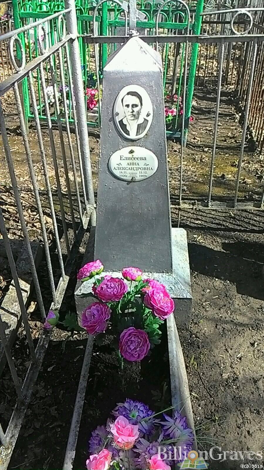Елисеева Анна Александровна