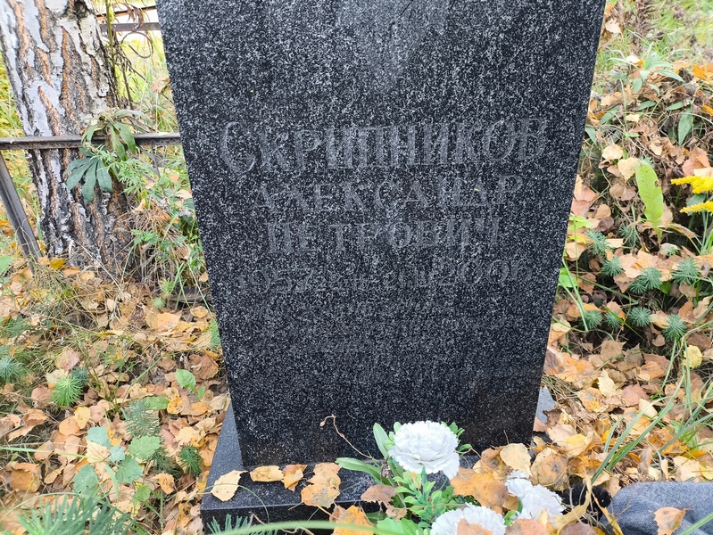 Скрипников