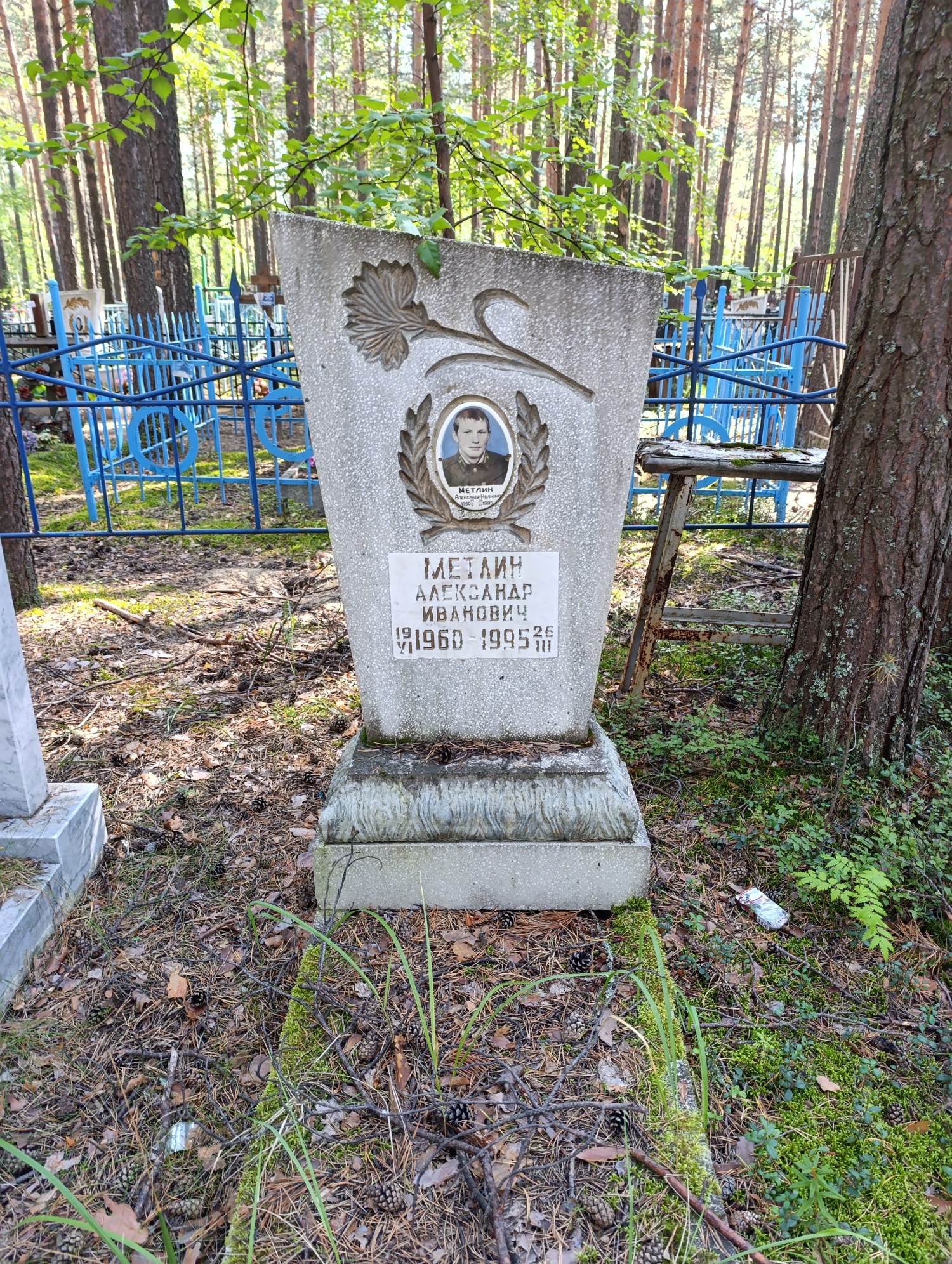 Метлин Александр Иванович