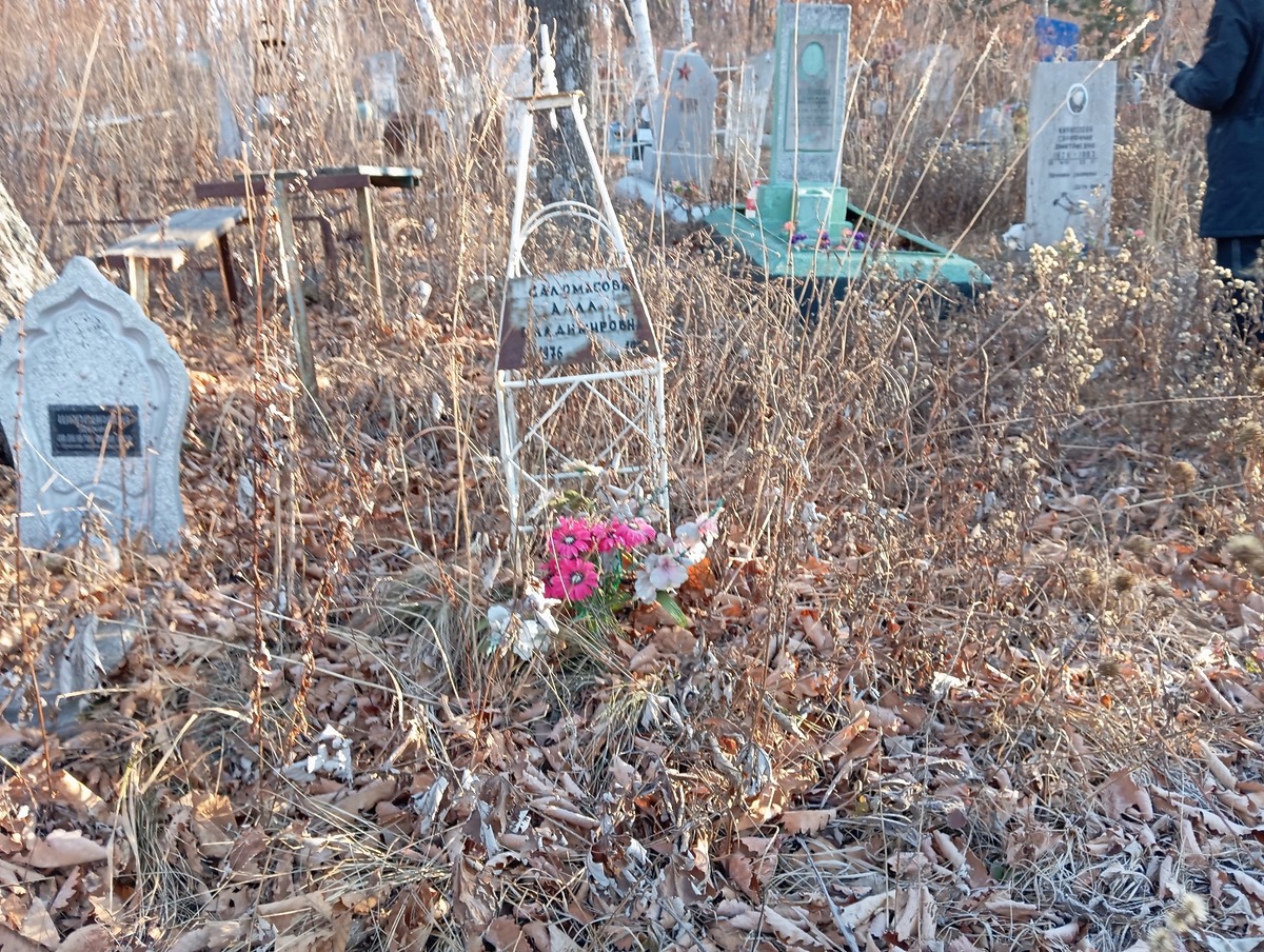 Саломасова Алла Владимировна