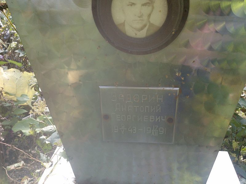Задорин