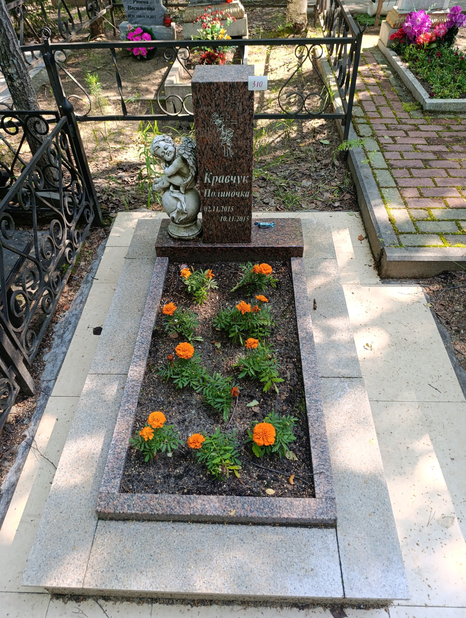 Кравчук Полина