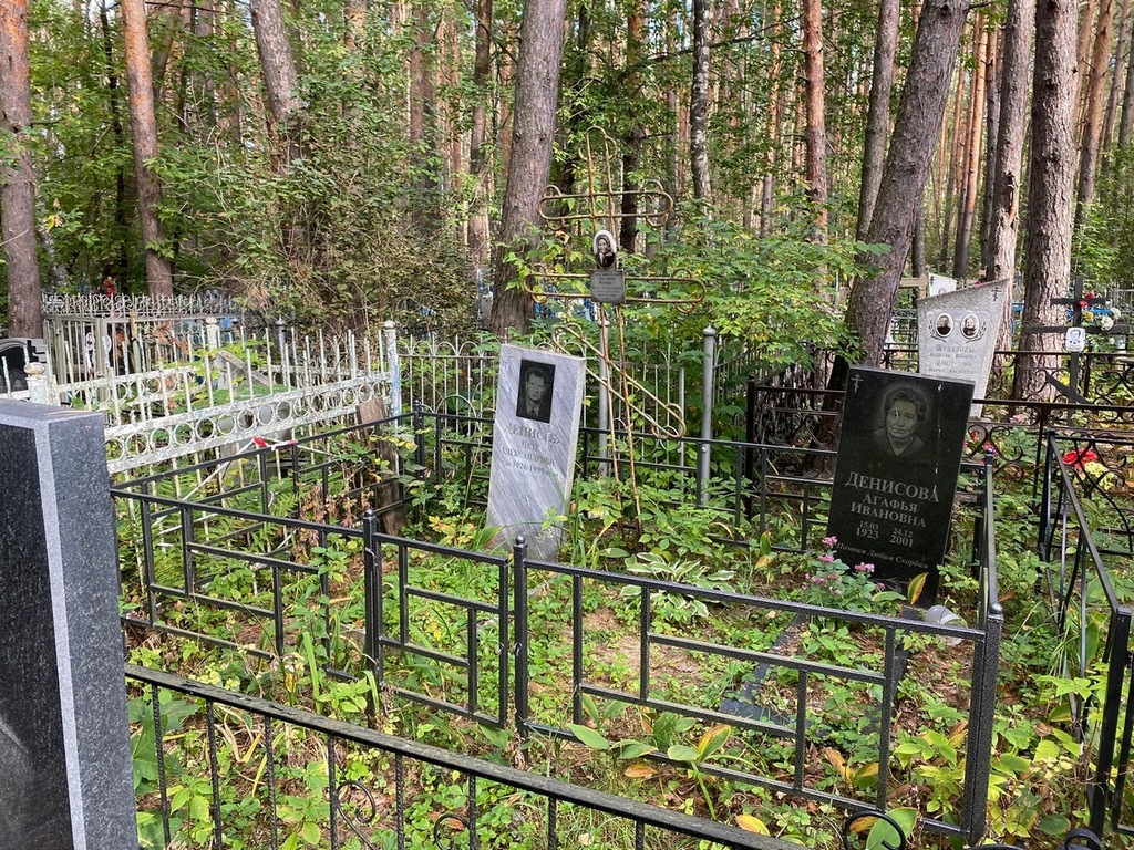 Денисов Петр Александрович