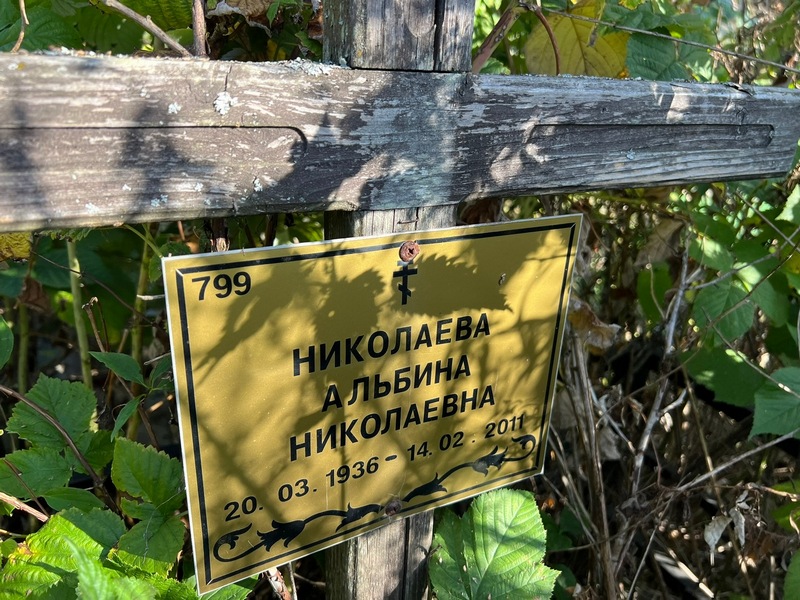 Альбина Николаева Николаевна