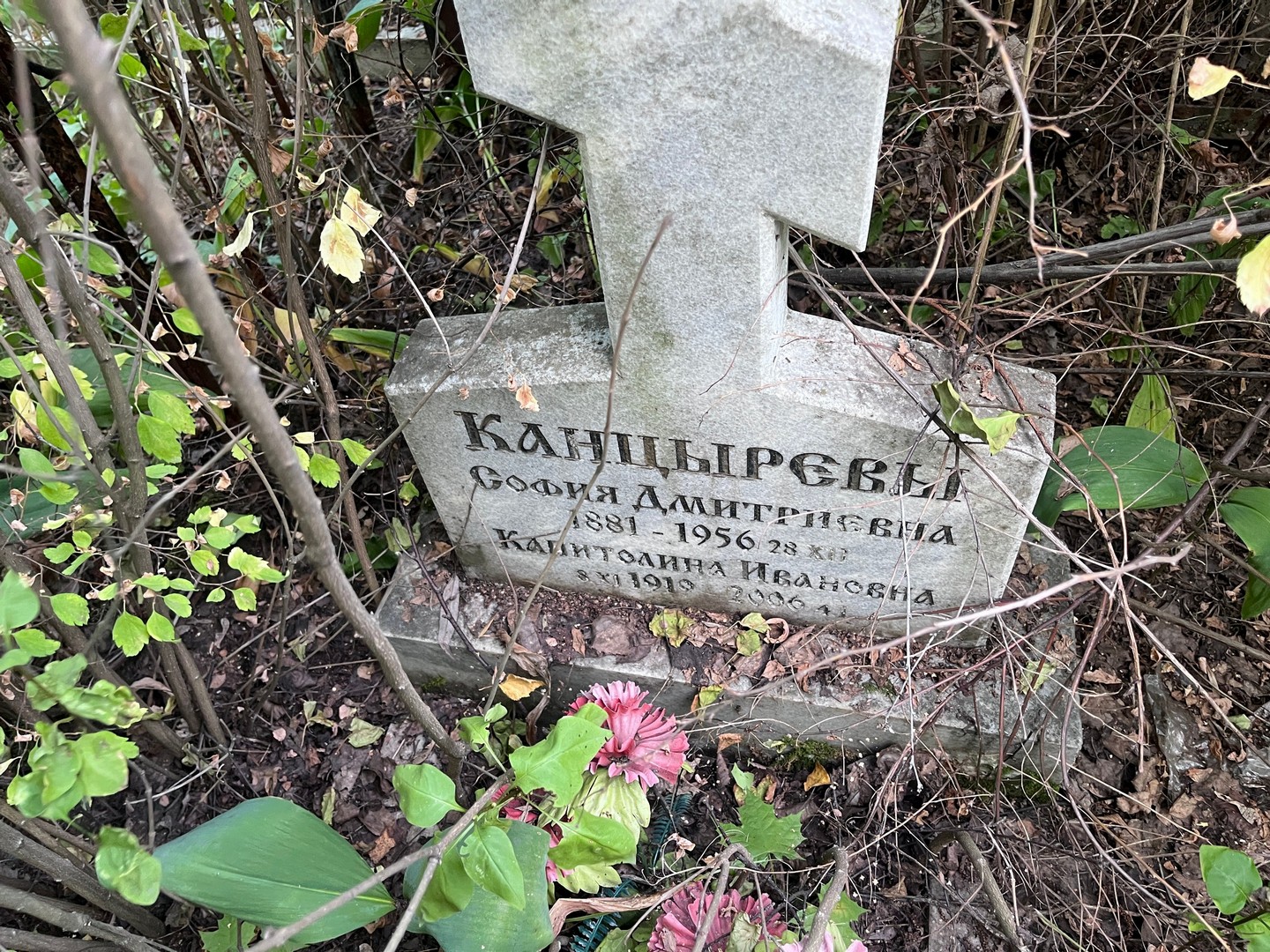 София Канцырева Дмитриевна