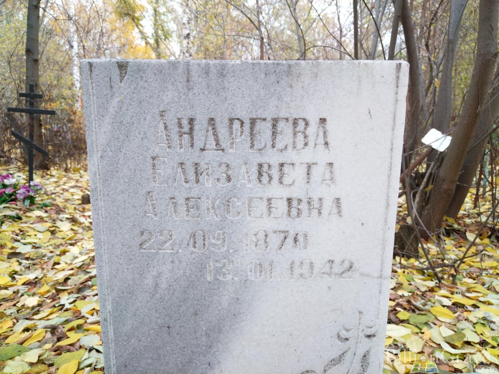 Андреева Елизавета Алексеевна