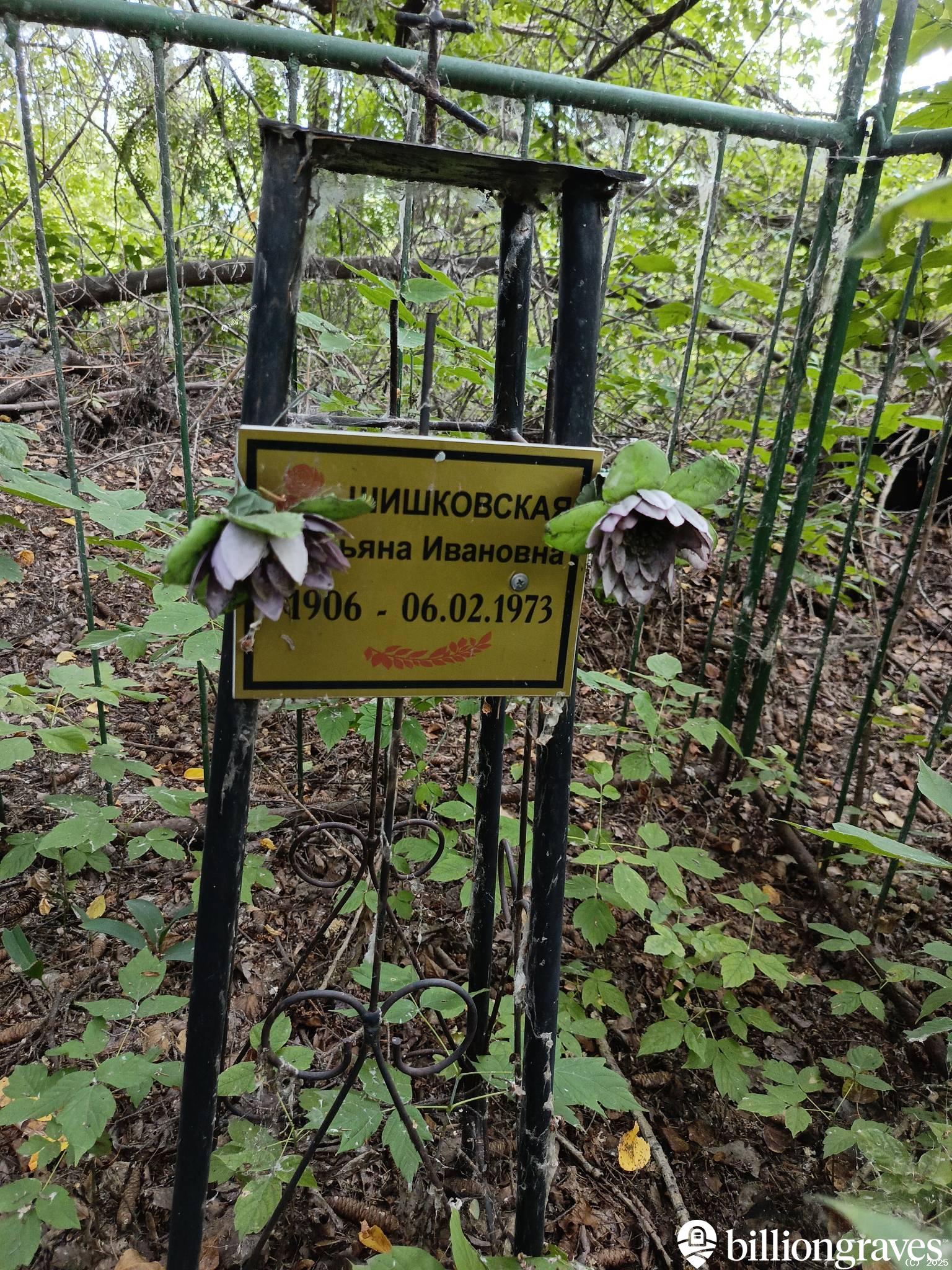 Шишковская Татьяна Ивановна
