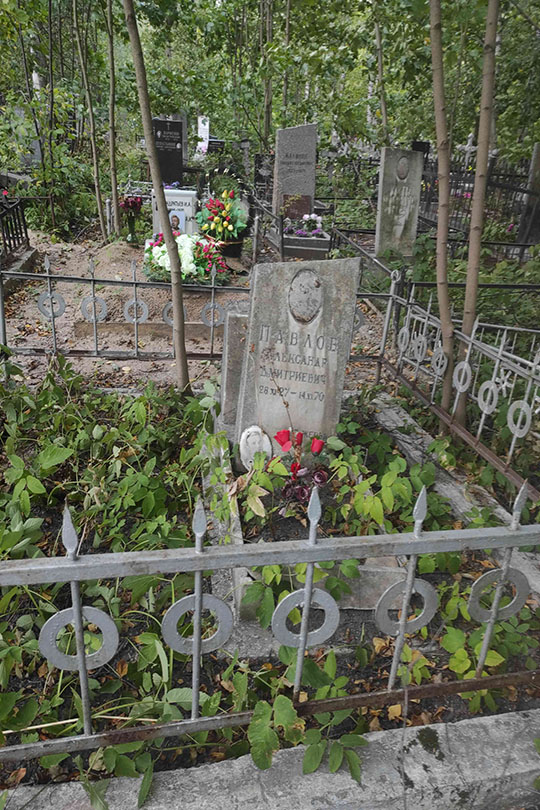 Павлов Александр Дмитриевич