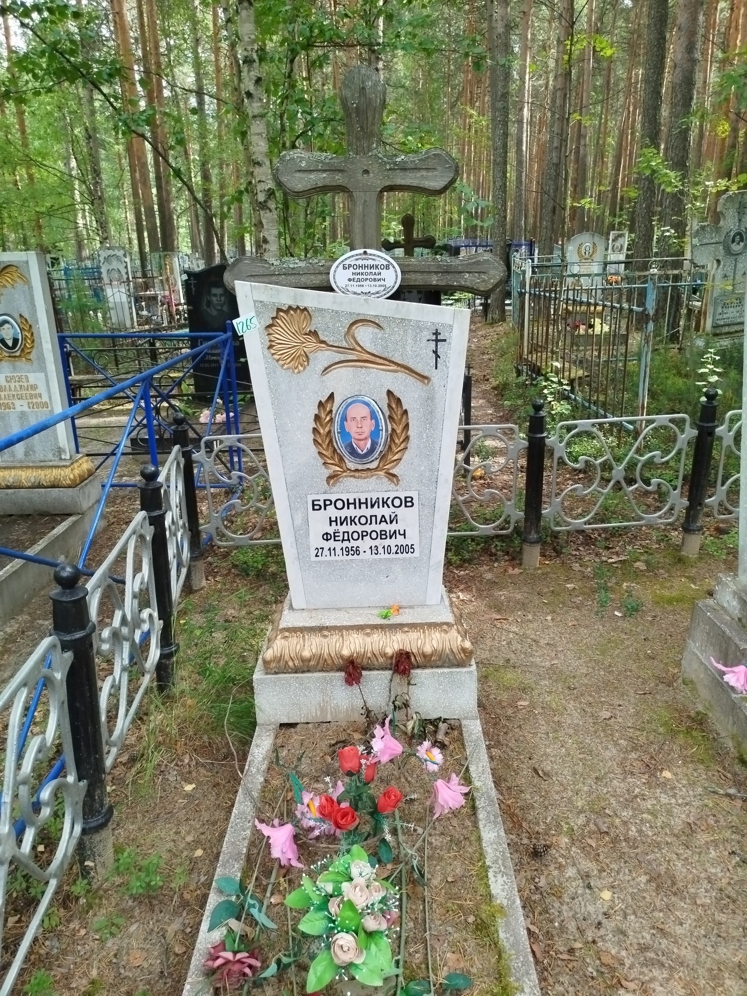 Бронников Николай Фёдорович