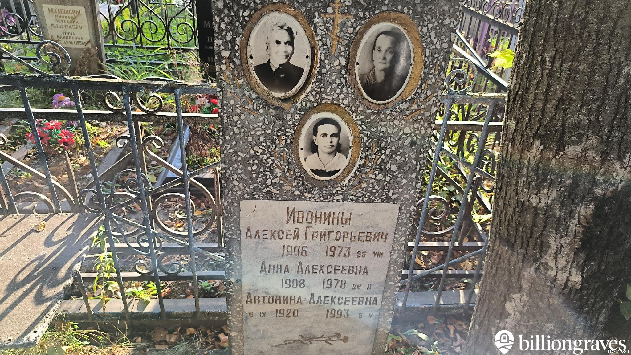 Ивонина Анна Алексеевна