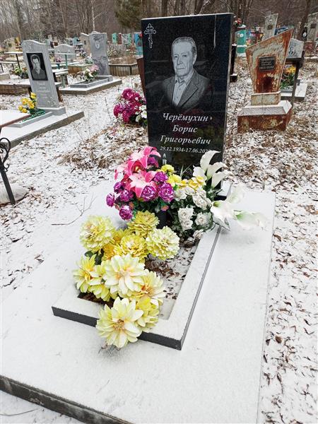 Черемухин Борис Григорьевич
