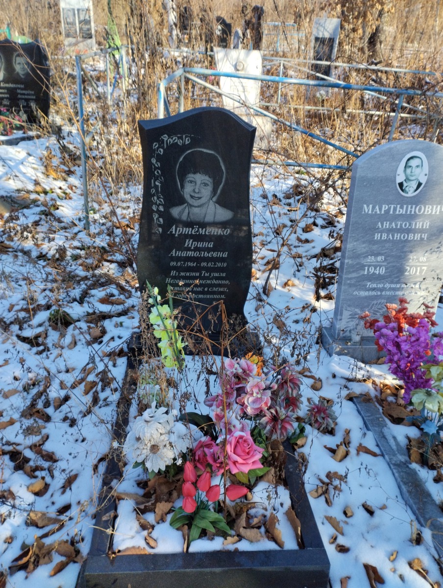 Артеменко Ирина Анатольевна