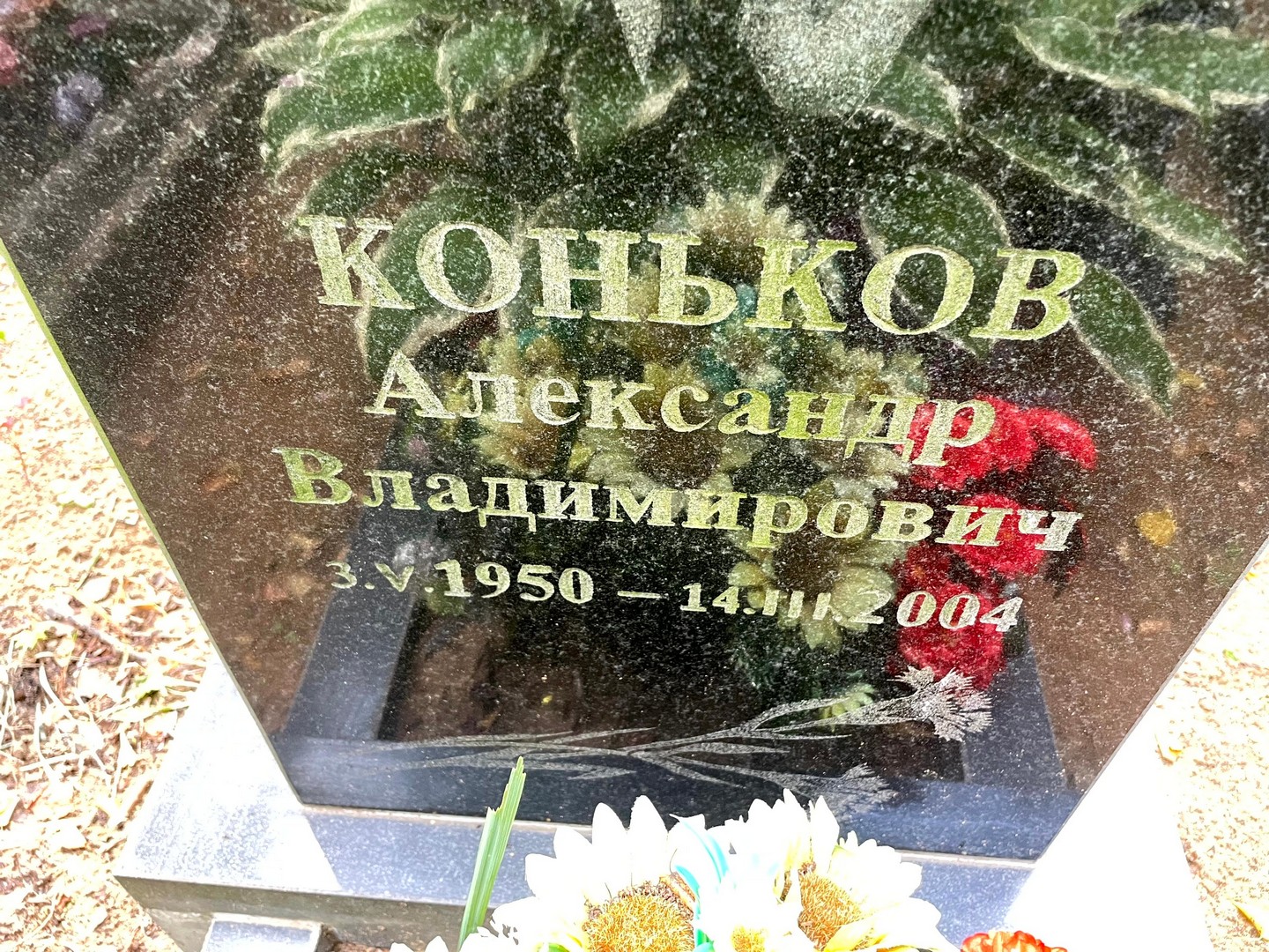 Коньков