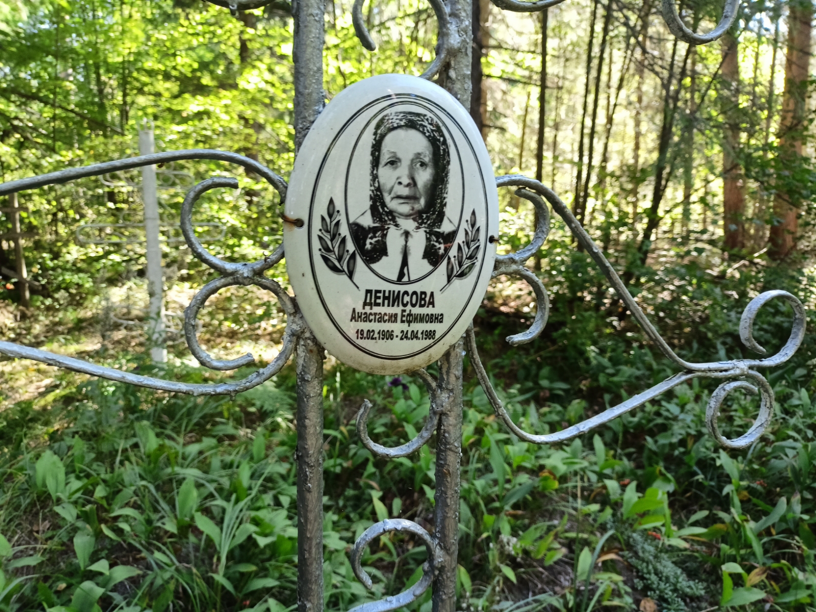 Денисова Анастасия Ефимовна