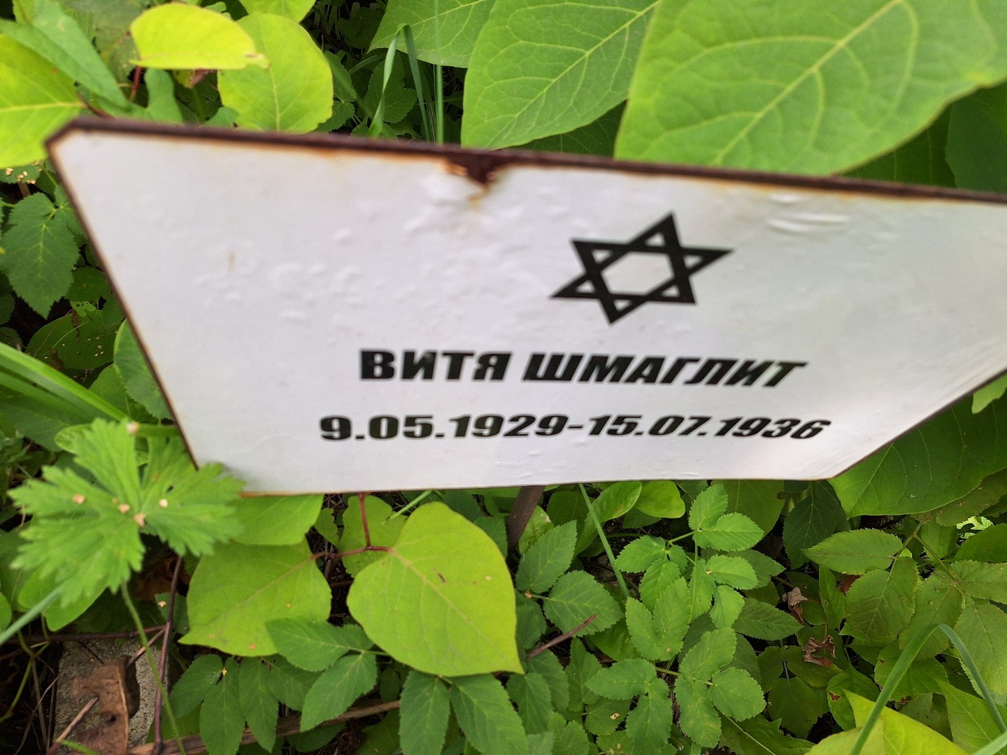 Шмаглит Шмаглит