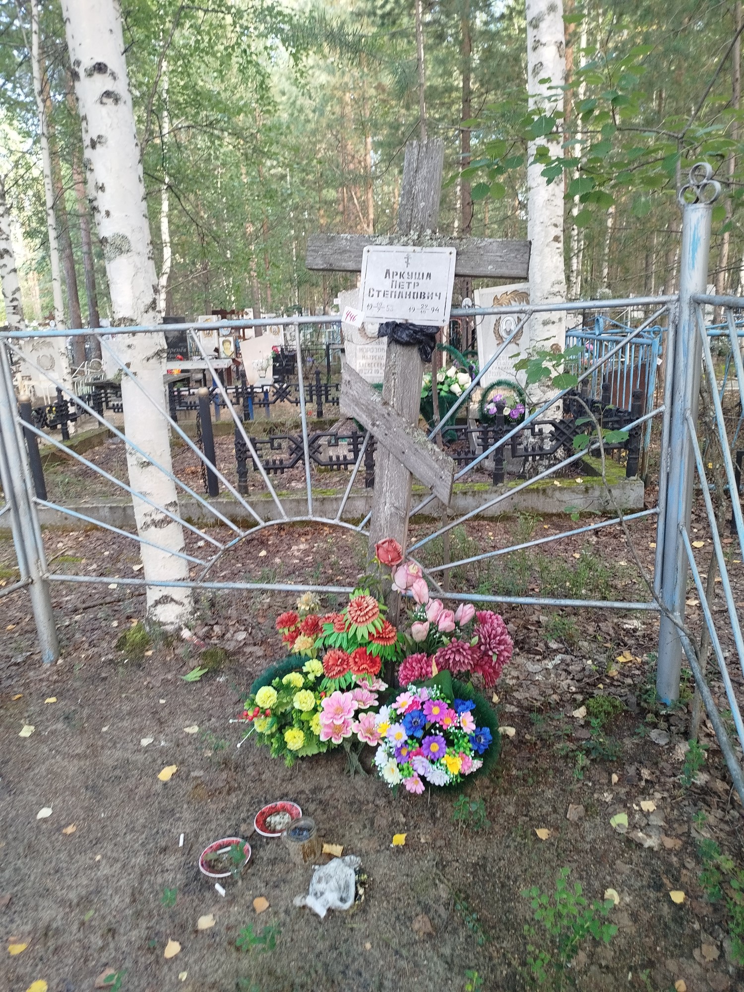 Аркуша Петр Степанович