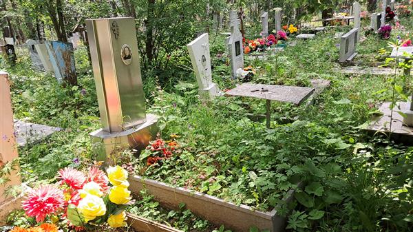 Волкова Анна Александровна