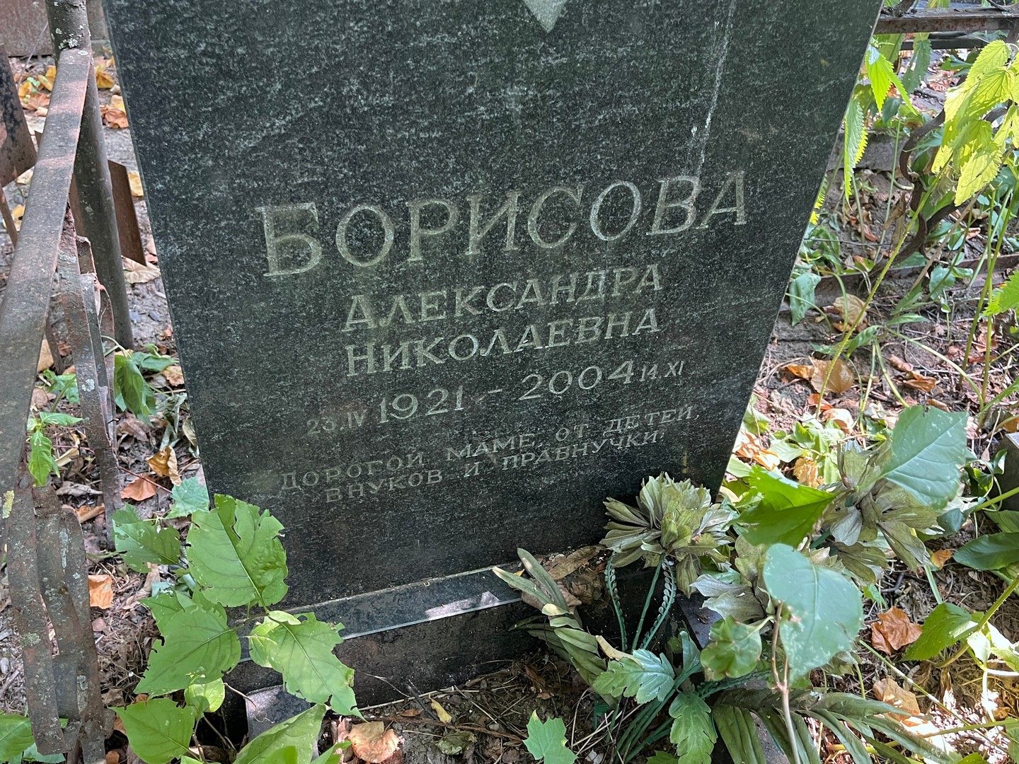 Борисова Александра Николаевна