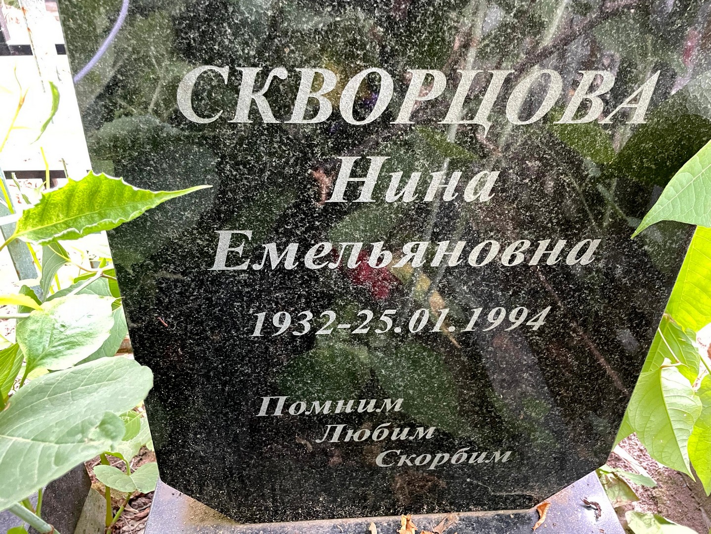 Скворцова