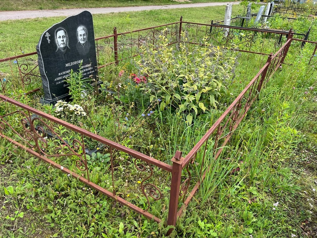 Медонов Василий Александрович