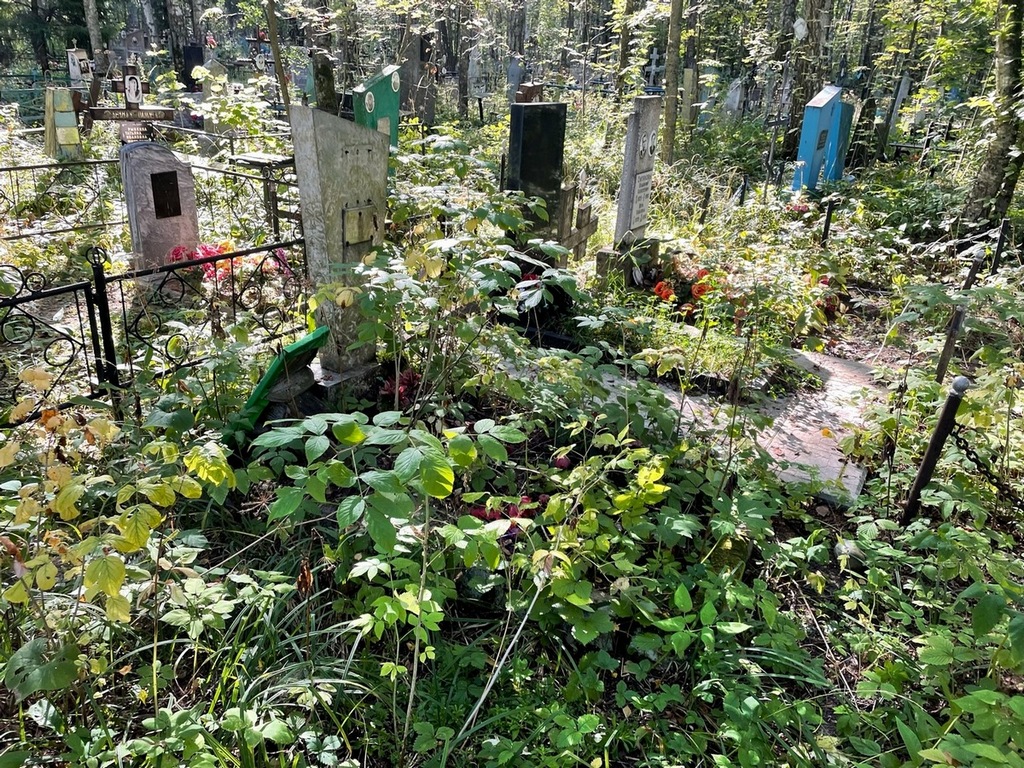 Рогунова Евдокия Александровна