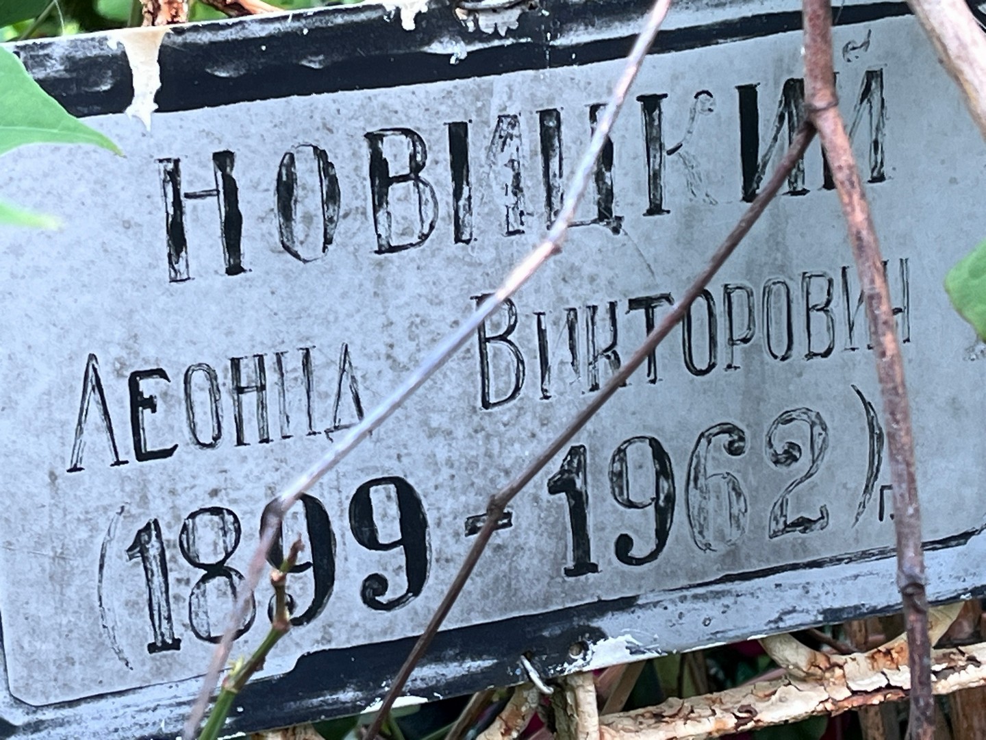 Новицкий