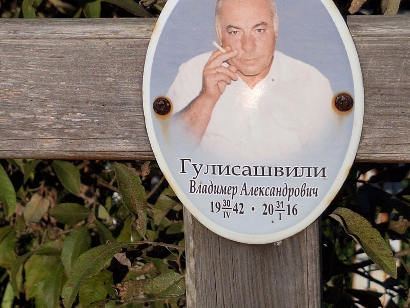 Владимер Гулисашвили Александрович