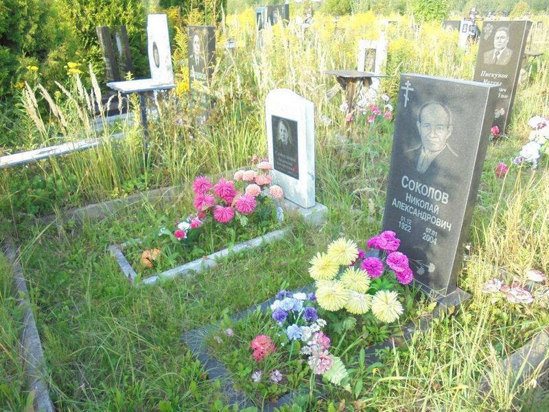 Соколов Николай Александрович