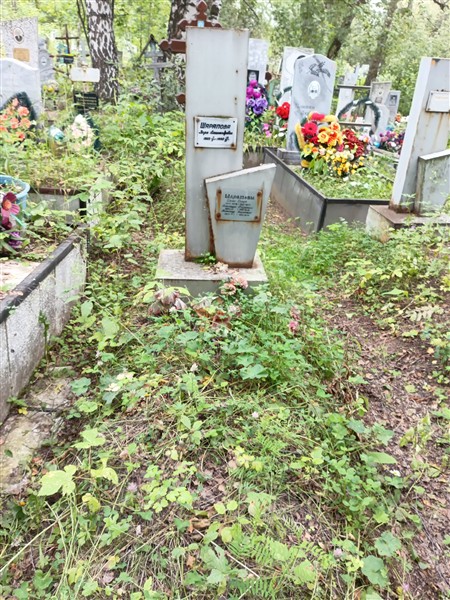 Шарапов Александр Сергеевич