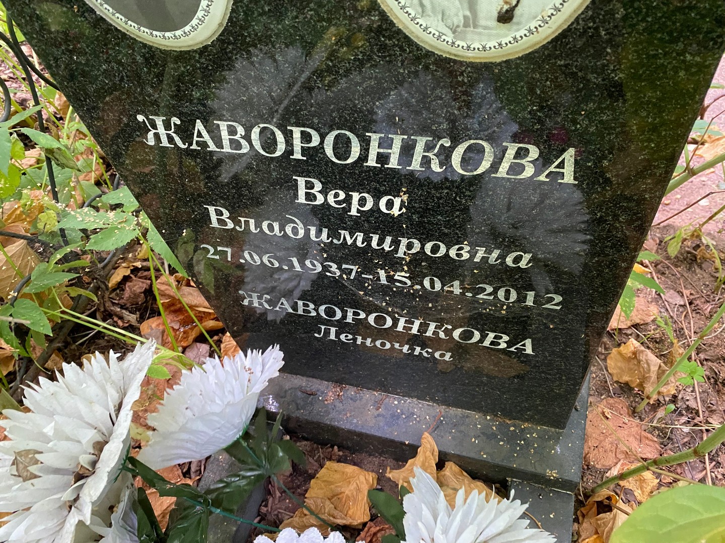 Жаворонкова